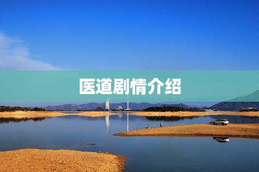 医道剧情介绍