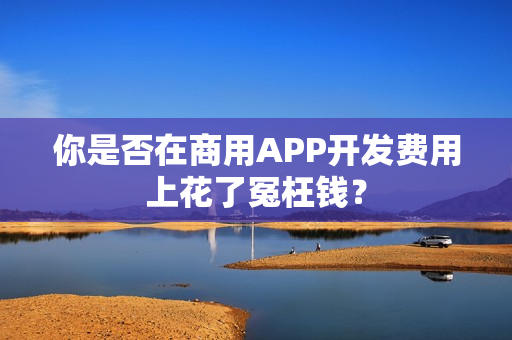 你是否在商用APP开发费用上花了冤枉钱？