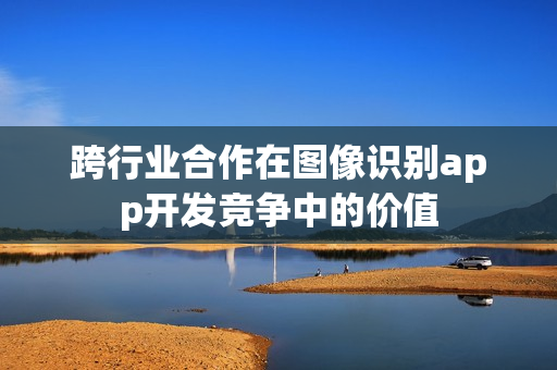 跨行业合作在图像识别app开发竞争中的价值