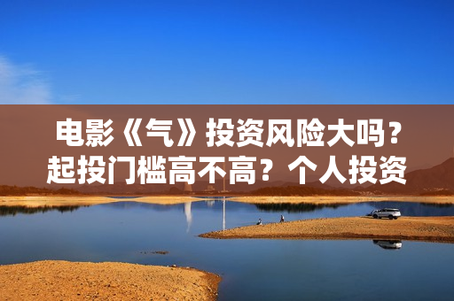 电影《气》投资风险大吗？起投门槛高不高？个人投资赚钱啊？