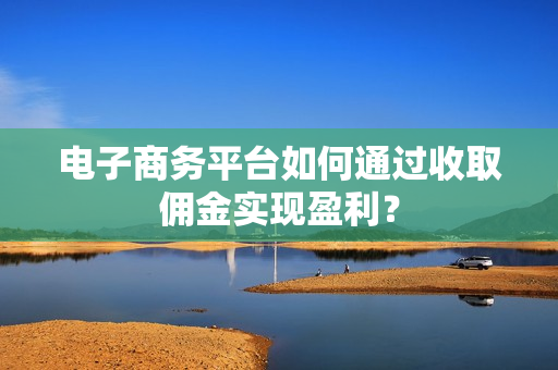 电子商务平台如何通过收取佣金实现盈利？