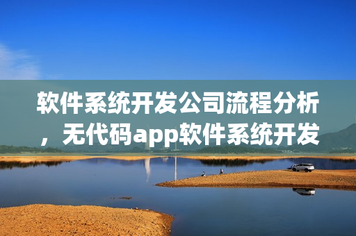 软件系统开发公司流程分析，无代码app软件系统开发