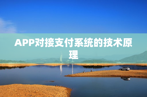 APP对接支付系统的技术原理