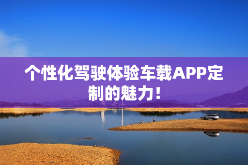 个性化驾驶体验车载APP定制的魅力！