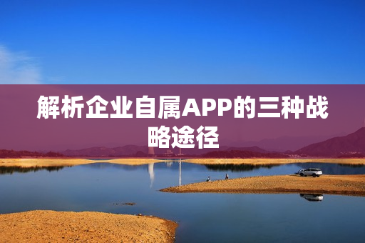 解析企业自属APP的三种战略途径
