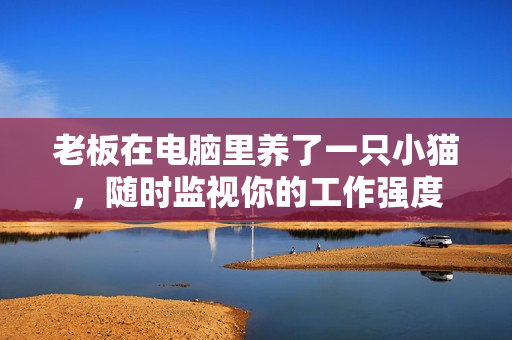 老板在电脑里养了一只小猫，随时监视你的工作强度