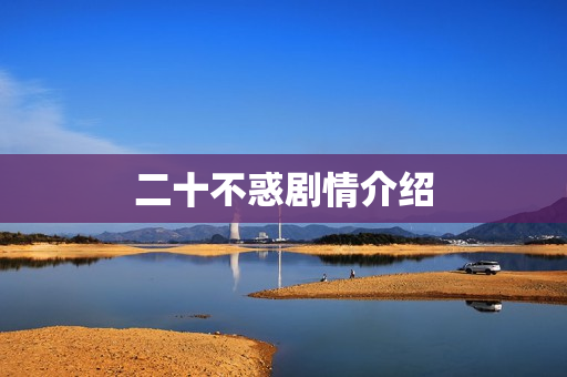 二十不惑剧情介绍