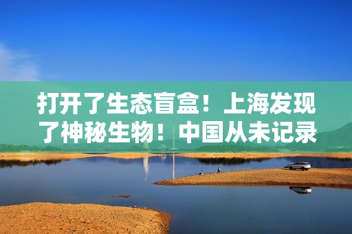 打开了生态盲盒！上海发现了神秘生物！中国从未记录