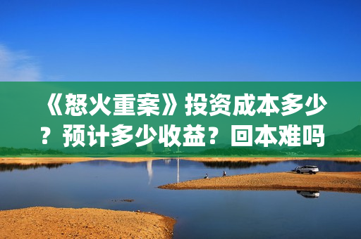 《怒火重案》投资成本多少？预计多少收益？回本难吗？(怒火重案片名)