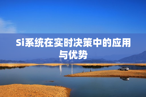 Si系统在实时决策中的应用与优势