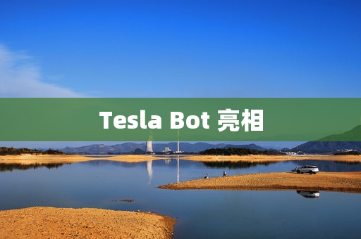 Tesla Bot 亮相