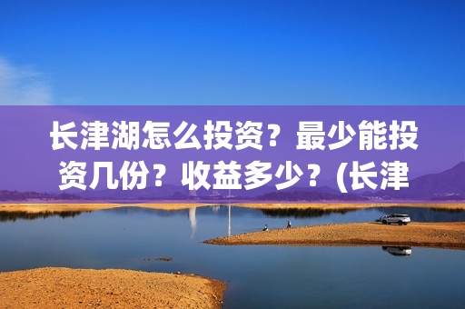 长津湖怎么投资？最少能投资几份？收益多少？(长津湖怎么参与投资)