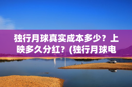 独行月球真实成本多少？上映多久分红？(独行月球电影演员表)