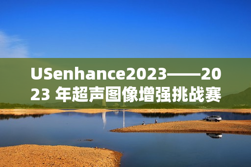 USenhance2023——2023 年超声图像增强挑战赛