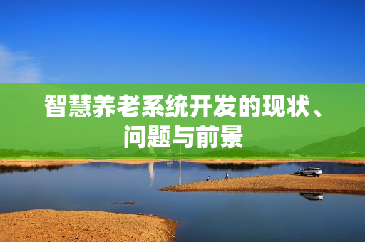 智慧养老系统开发的现状、问题与前景