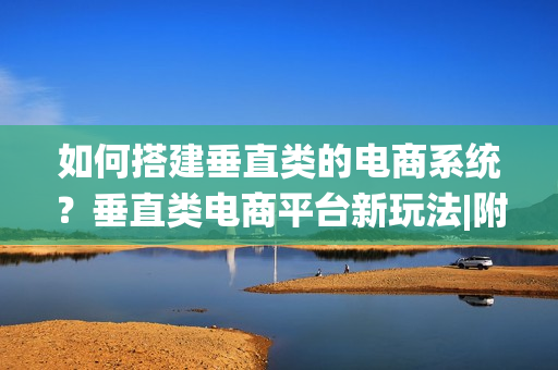 如何搭建垂直类的电商系统？垂直类电商平台新玩法|附运营方案