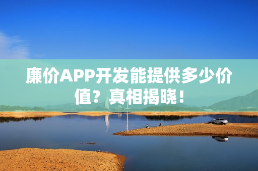 廉价APP开发能提供多少价值？真相揭晓！