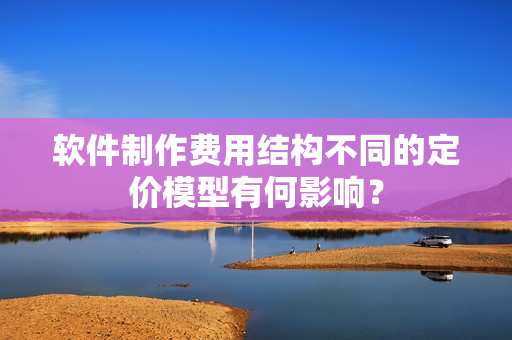 软件制作费用结构不同的定价模型有何影响？
