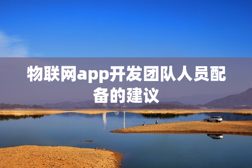 物联网app开发团队人员配备的建议