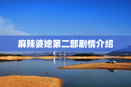 麻辣婆媳第二部剧情介绍