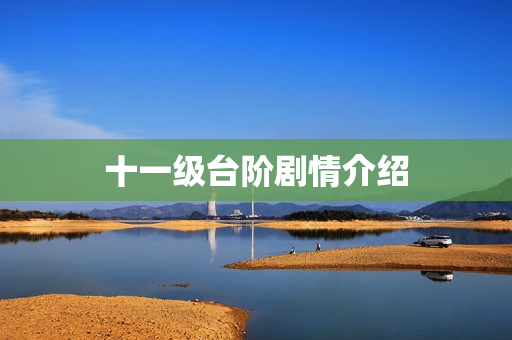 十一级台阶剧情介绍