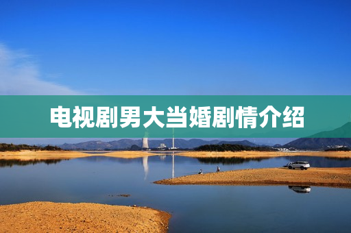 电视剧男大当婚剧情介绍