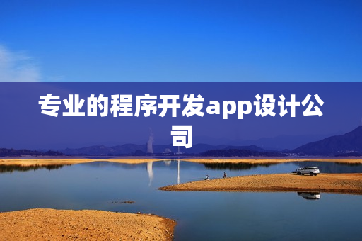 专业的程序开发app设计公司