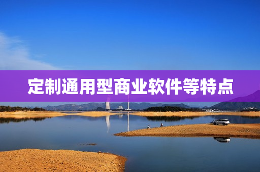定制通用型商业软件等特点