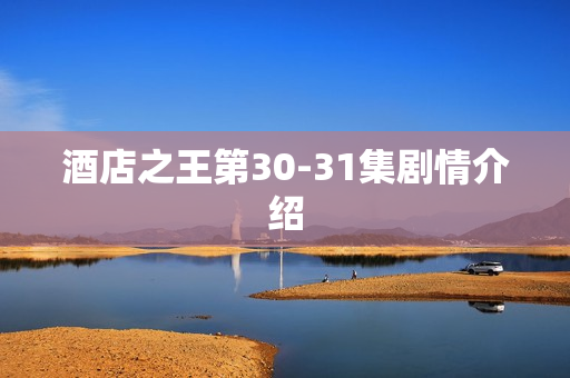 酒店之王第30-31集剧情介绍