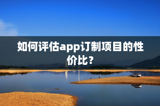 如何评估app订制项目的性价比？