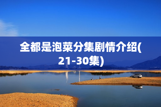 全都是泡菜分集剧情介绍(21-30集)