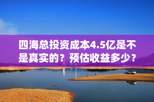 四海总投资成本4.5亿是不是真实的？预估收益多少？(四海 成本)