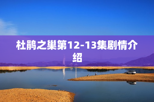 杜鹃之巢第12-13集剧情介绍