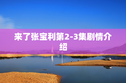来了张宝利第2-3集剧情介绍