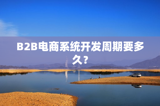 B2B电商系统开发周期要多久？