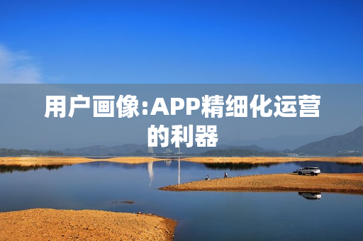 用户画像:APP精细化运营的利器