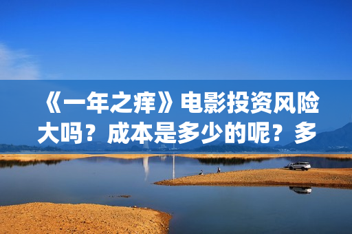 《一年之痒》电影投资风险大吗？成本是多少的呢？多少起投呢？(一年之痒免费播放)