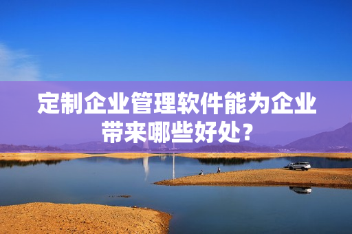 定制企业管理软件能为企业带来哪些好处？
