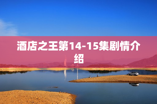 酒店之王第14-15集剧情介绍