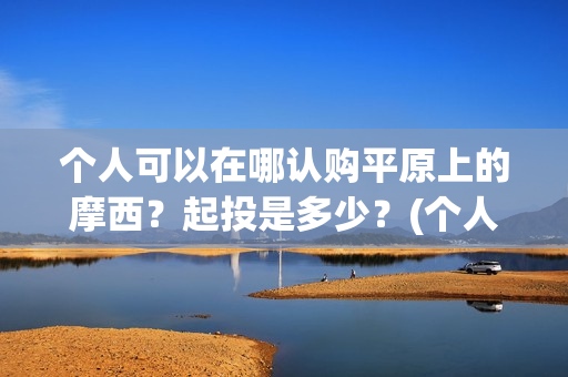 个人可以在哪认购平原上的摩西？起投是多少？(个人可以在哪认证身份证)