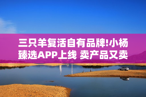 三只羊复活自有品牌!小杨臻选APP上线 卖产品又卖会员