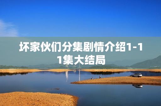 坏家伙们分集剧情介绍1-11集大结局