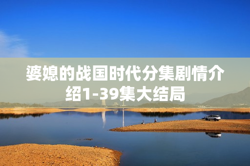 婆媳的战国时代分集剧情介绍1-39集大结局