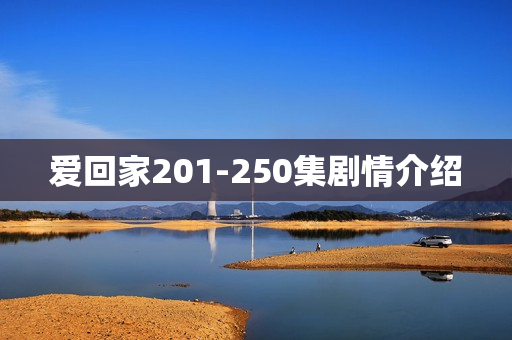 爱回家201-250集剧情介绍