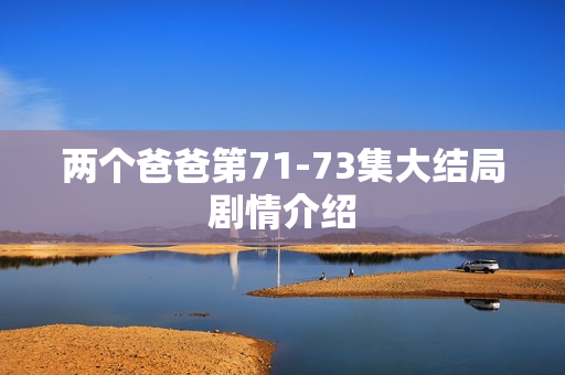 两个爸爸第71-73集大结局剧情介绍
