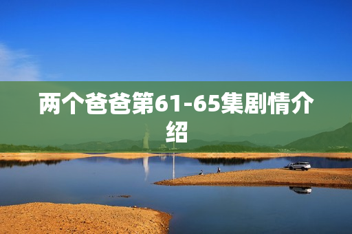 两个爸爸第61-65集剧情介绍