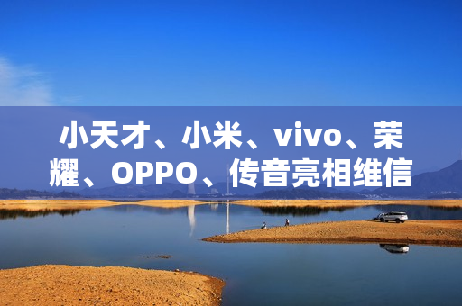 小天才、小米、vivo、荣耀、OPPO、传音亮相维信诺 F1 屏幕发光材料体系发布仪式