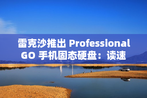 雷克沙推出 Professional GO 手机固态硬盘：读速 1050MB/s，999 元起