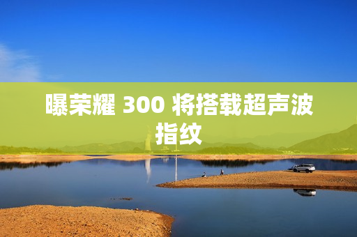 曝荣耀 300 将搭载超声波指纹