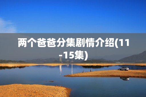 两个爸爸分集剧情介绍(11-15集)